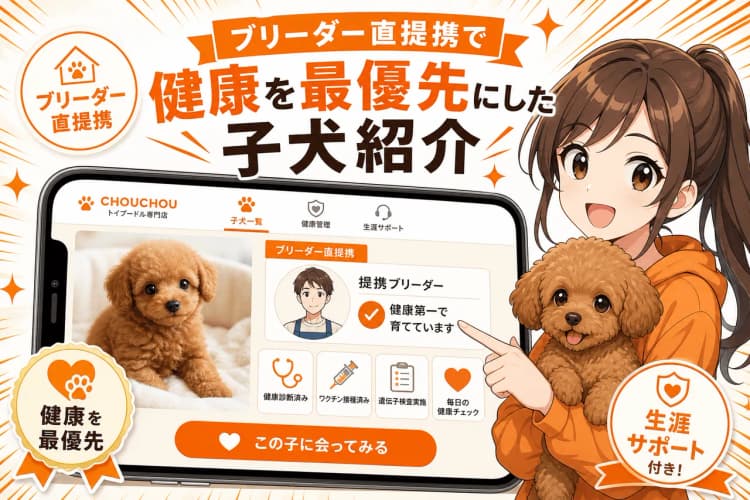 CHOUCHOU（トイプードル専門店） の画面 7